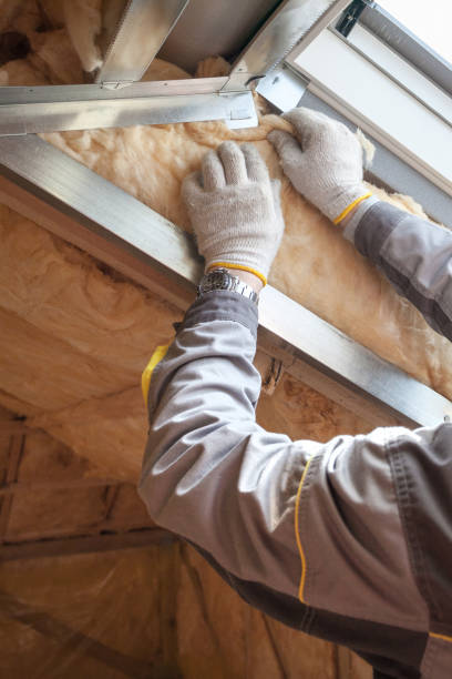 Best Attic Insulation Installation  in Mcallen, TX